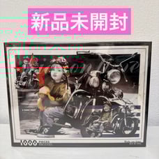 Brand new, unopened, discontinued Kim Anderson Ride On Time, Oshama na Rider (The Stylish Rider)