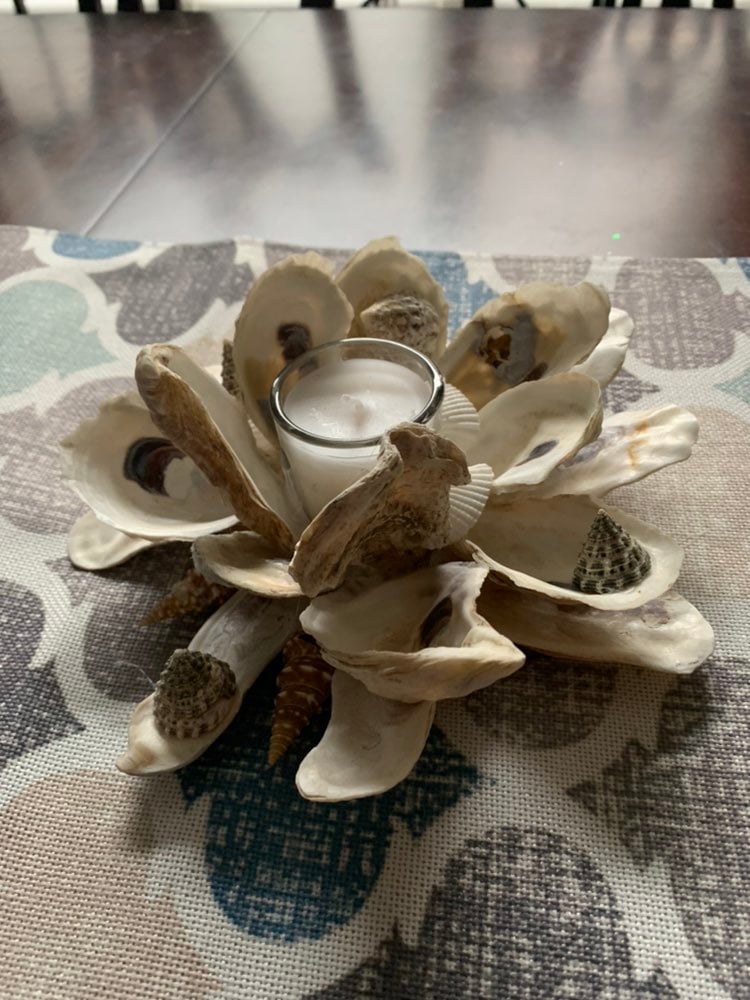 Oyster shell votive candle holder