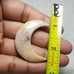 Fossil Coral Moon Shape-MSL-9