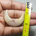 Fossil Coral Moon Shape-MSL-9