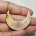 Fossil Coral Moon Shape-MSL-9