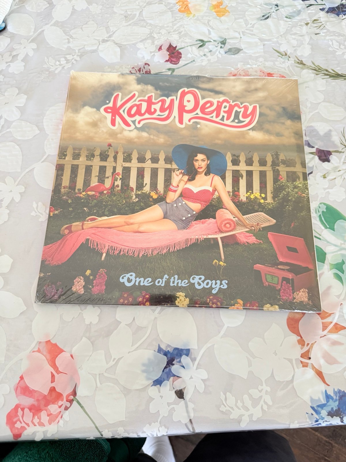 Katy Perry One of The Boys Cloudy Blue Sky w/7” vinyl and 2024 Calendar