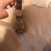 Coach Women’s Girls Signature Brown Mono