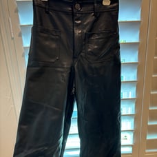 Zara faux leather pants the marine pant