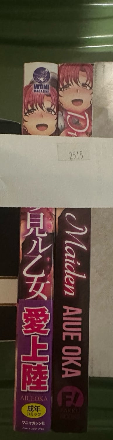 Dreaming Maidens by Aiue Oka (English + Japanese) Rare OOP HTF Fakku