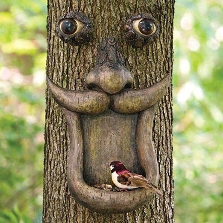 Funny Old Man Tree Face Sculpture, Wild Bird Feeder Whimsical Tree Hugger Garden