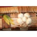 VINTAGE FLOWER BASKETS,vintage boho baskets,vintage baskets,vintage flat baskets