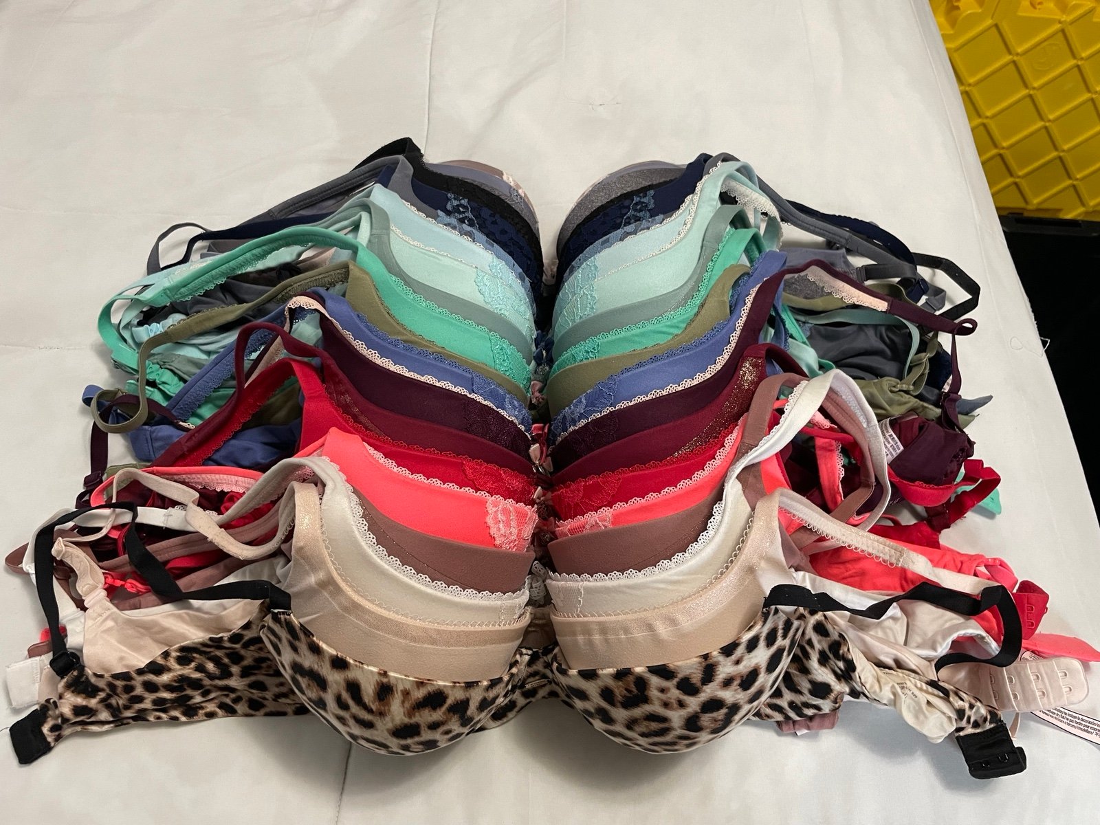 HUGE bra bundle