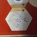 Papel gold plated coins