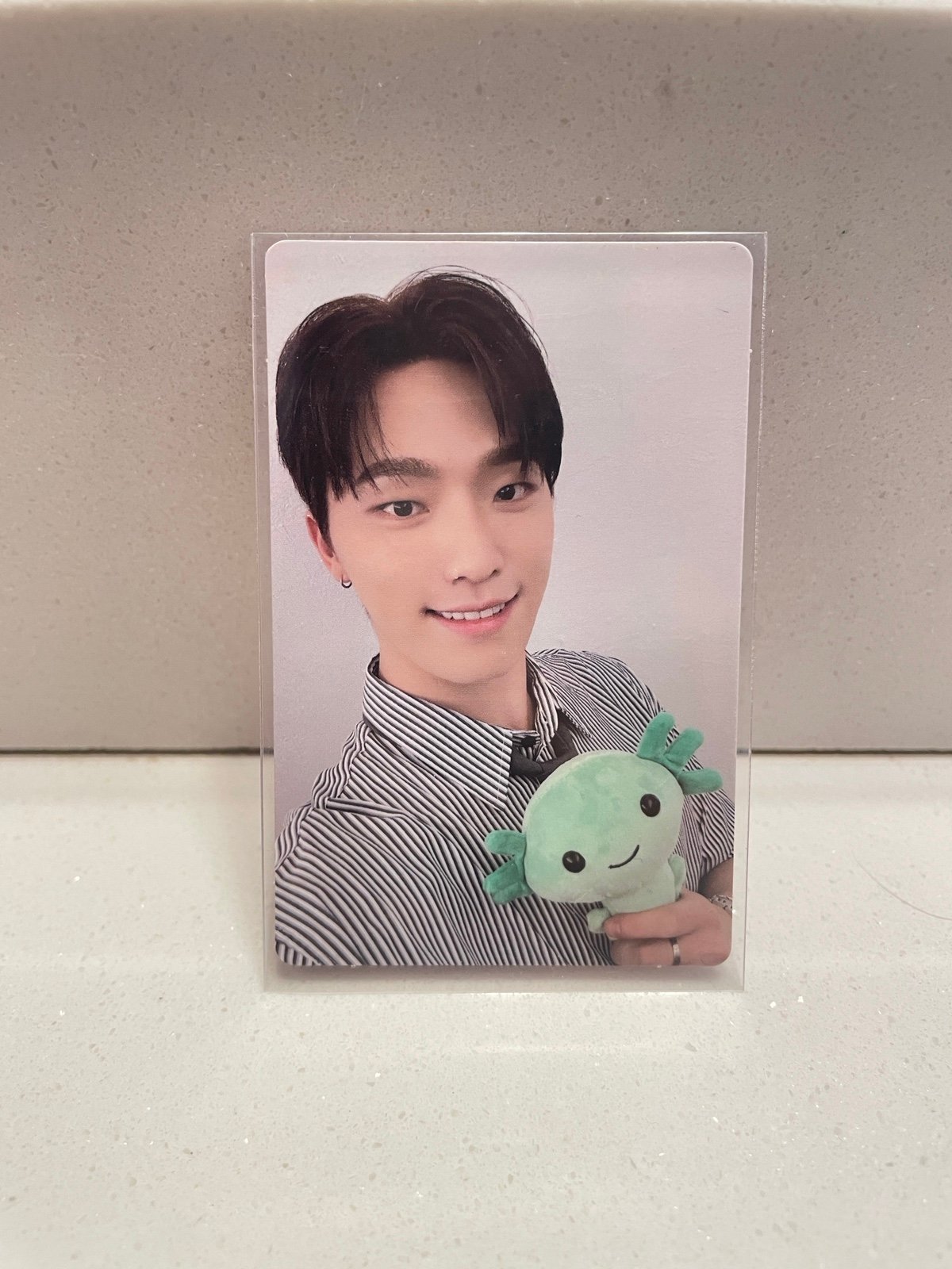Official Dino Photocard Seventeen