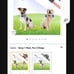 Justpet wireless pet fence system new