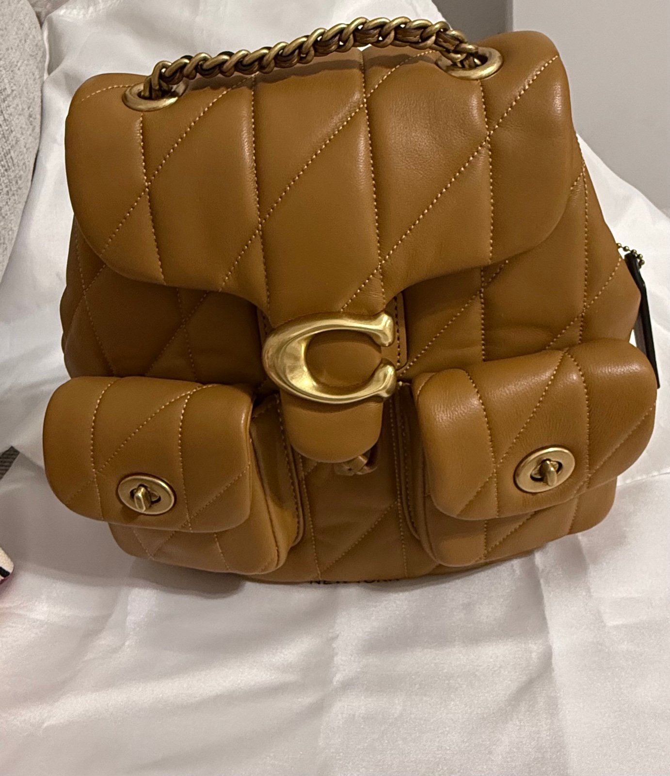 Tabby Backpack With Pillow Quilting Coach