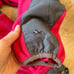 The North Face Women’s Denali Jacket Hot Pink Hooded Full Zip Size S