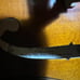 Yamaha Violin V-5 4/4