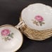 41 Piece Set Hutschenreuther Belrose Dinnerware