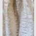 ANTHROPOLOGIE Pankaj & Nidhi Burnout Shimmer Maxi Skirt. Size Medium.