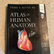 Atlas of Human Anatomy by Frank H Netter, MD