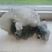 Grey Chalcedony specimen