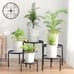 5-Pack Decent Metal Plant Stands