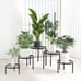 5-Pack Decent Metal Plant Stands