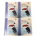 95 Phonics Core Program Student Workbook Grade 1 Vol. A - D