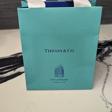 Exclusive Limited Edition Tiffany Co Landmark Bag with dust bag
