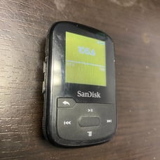 SanDisk