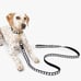 NWT KATE SPADE NEW YORK ART DOTS COLLAR & LEASH -SM/MED