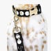 NWT KATE SPADE NEW YORK ART DOTS COLLAR & LEASH -SM/MED