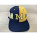 Vintage Michigan Wolverines Split All Over Snapback Hat American Needle 90s EUC