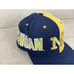 Vintage Michigan Wolverines Split All Over Snapback Hat American Needle 90s EUC