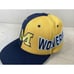 Vintage Michigan Wolverines Split All Over Snapback Hat American Needle 90s EUC