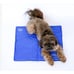 Chillz Dog Cat Cooling Mat Large - 20”x 36” Pressure Activated Pad for Pets Gray