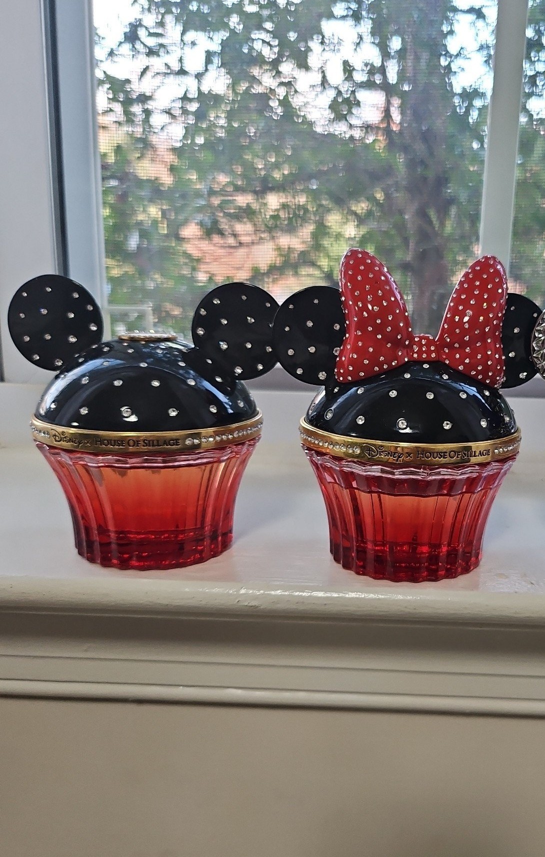 Mickey and Minnie Mouse House of Sillage