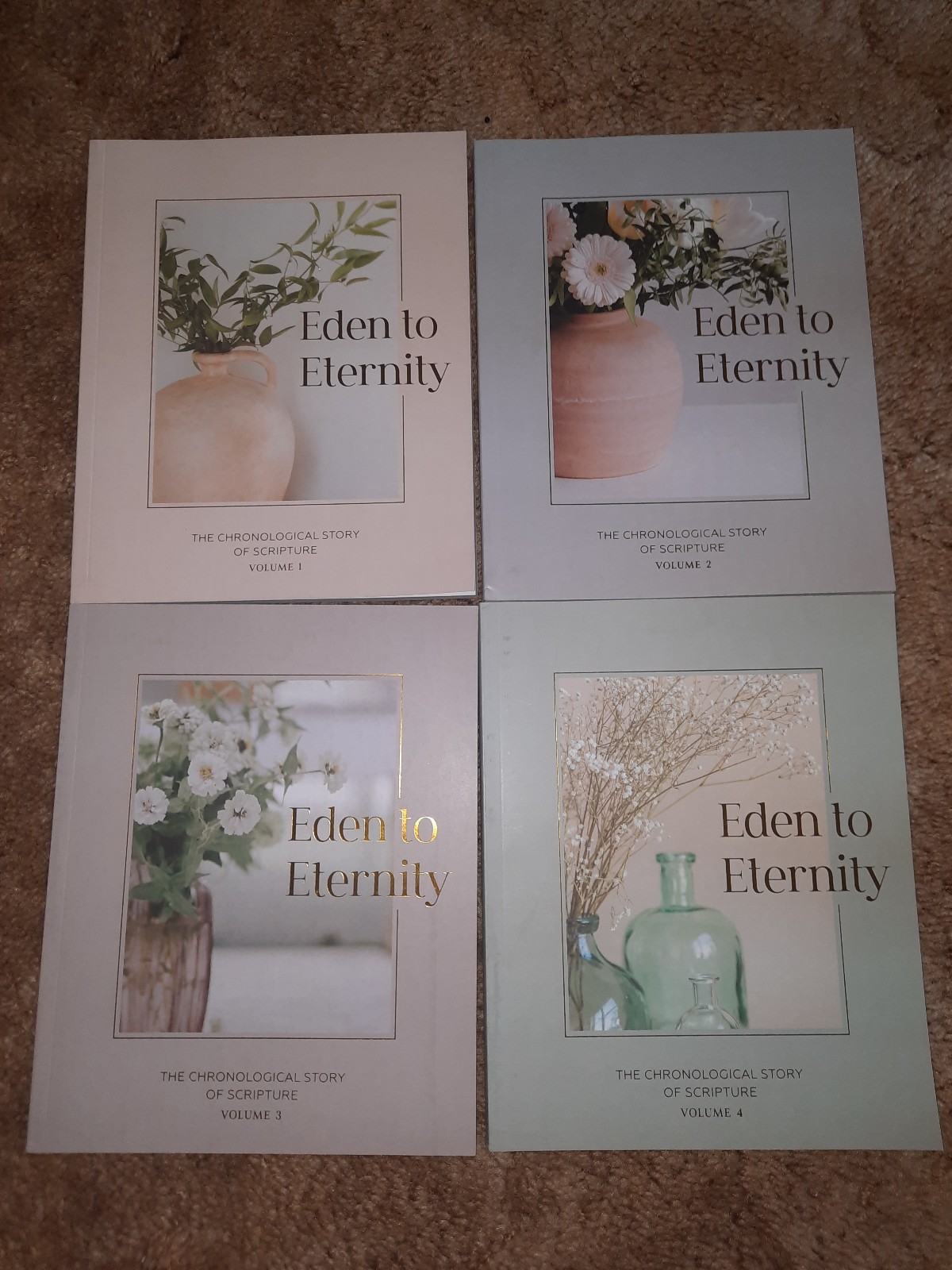 The Daily Grace Co. Chronological Bible Study 4-volume set- Eden to Eternity