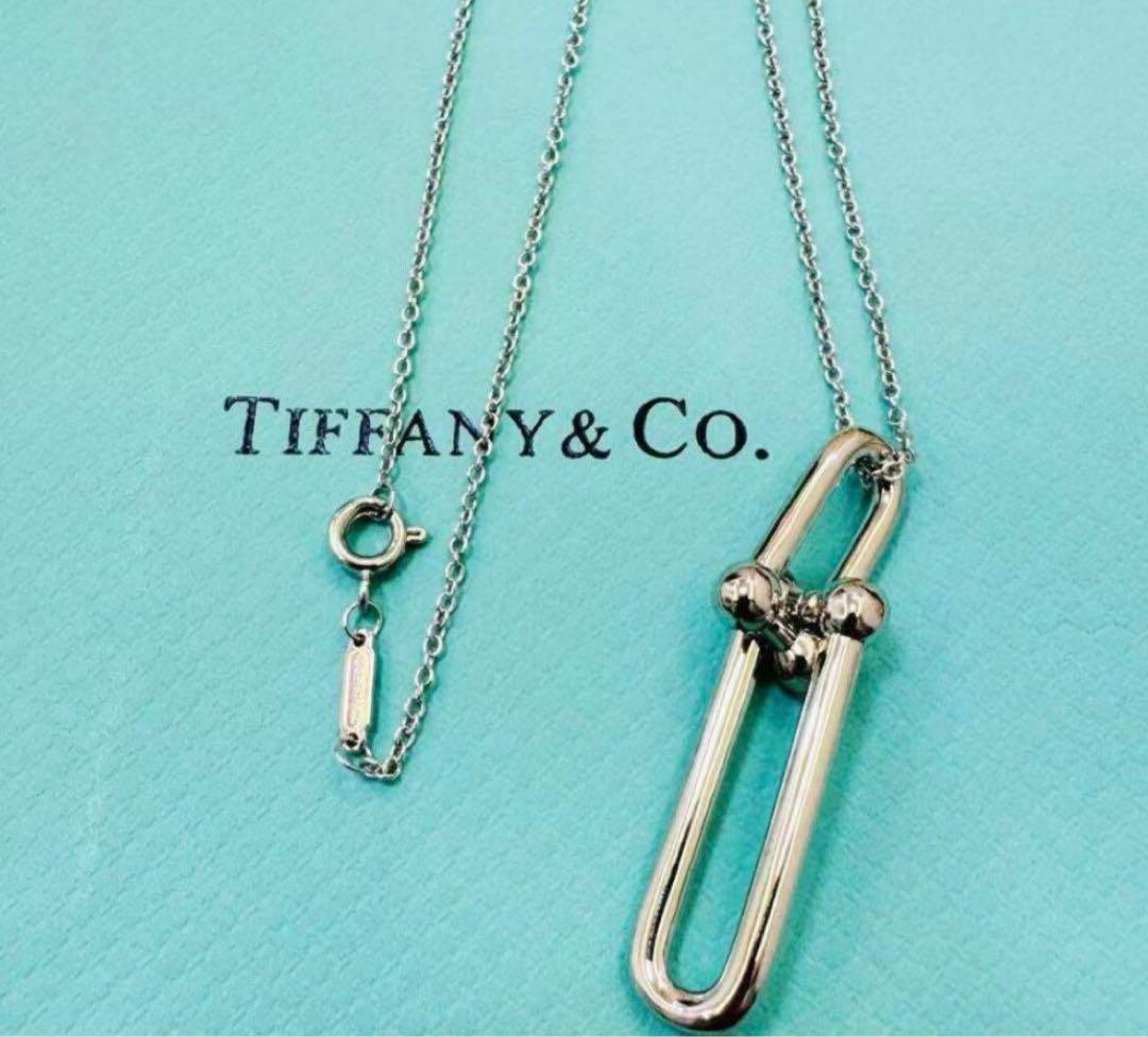 Tiffany & Co. Long Link Pendant Sterling Silver