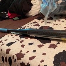 softball bat