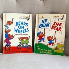 Berenstain Bears Books set of 2 Vintage
