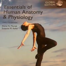 essentials of anatomy and physiology