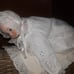 doll collection