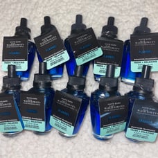 Bath and Body Works Wallflowers