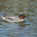 SIGMA DL 70-300mm f/4-5.6 DG OS HSM Contemporary