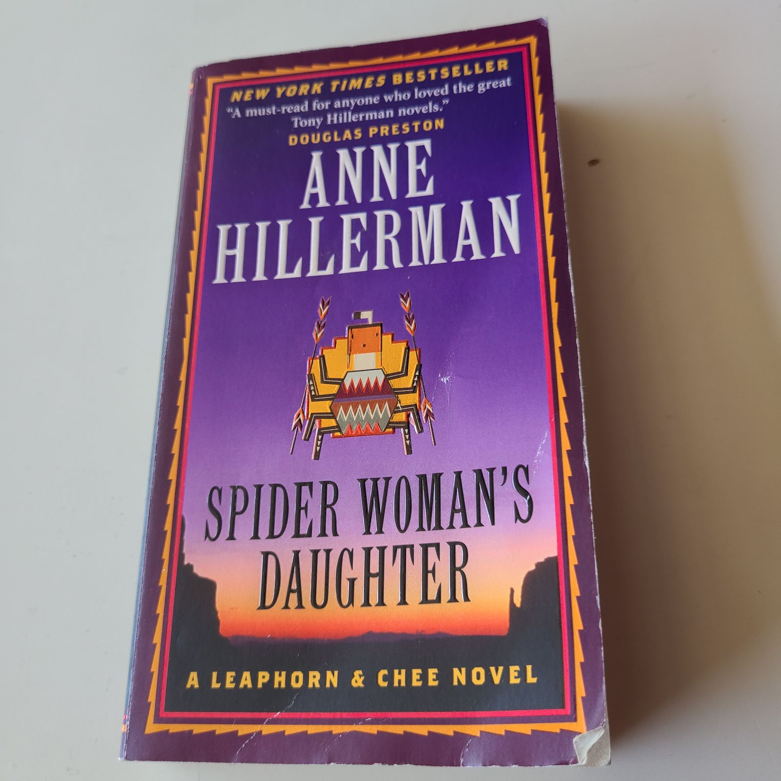 SPIDER WOMAN'S DAUGHTER by ANNE HILLERMA