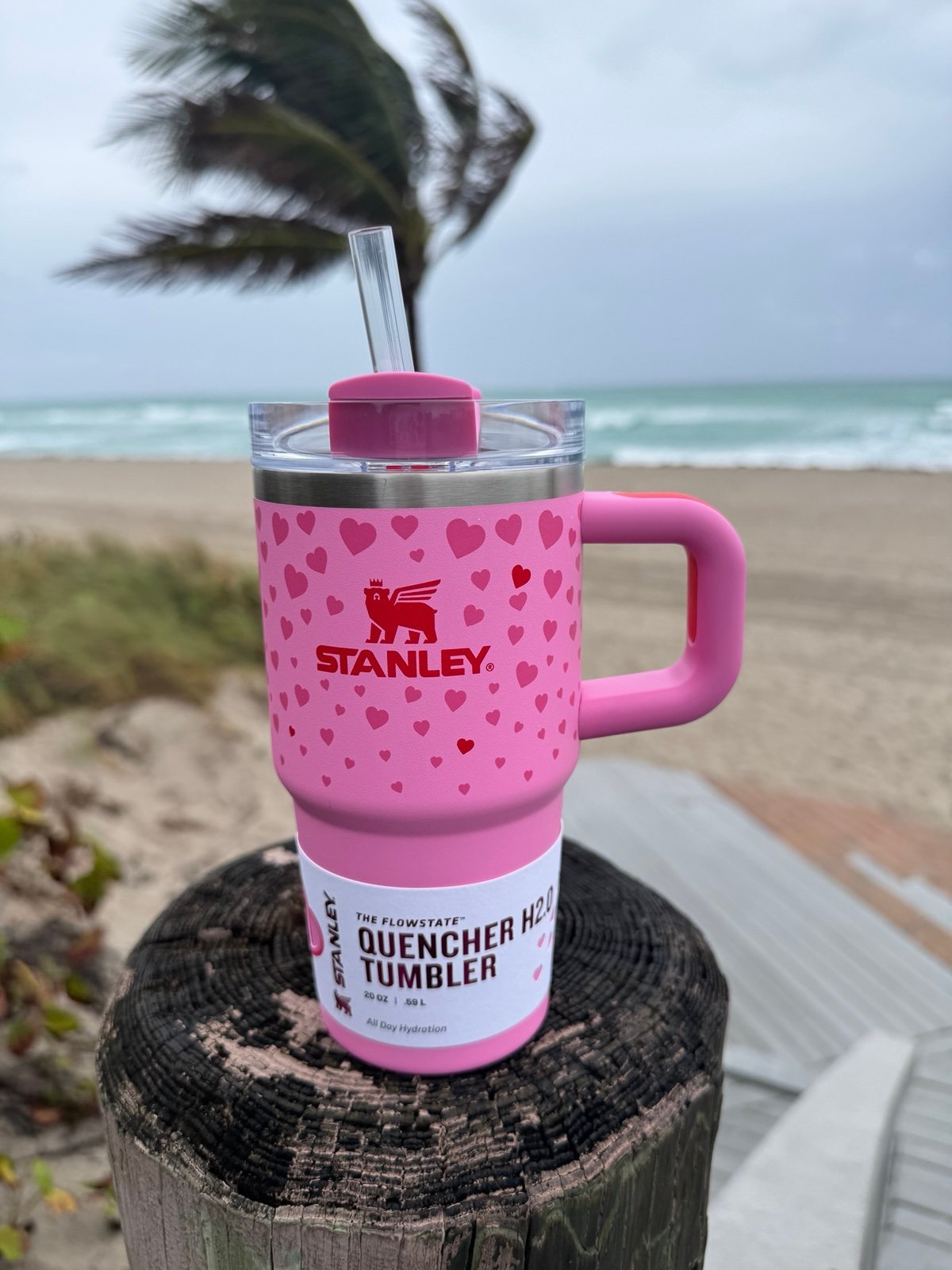 Stanley Target Exclusive Sweet Hearts 20oz Tumbler