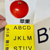 Learn Chinese Book Jaing Zhi Yu Bain Zhu - Onions Speak English and A B C’s