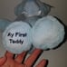 NEW My First Teddy Bear Plush 12 Lovey Toy Baby Boy Blossoms & Buds Evergreen