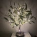 Lighted Tabletop Olive Tree 18IN 50 LED Fairy Lights with Timer Battery Operated