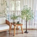 Lighted Tabletop Olive Tree 18IN 50 LED Fairy Lights with Timer Battery Operated