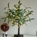 Lighted Tabletop Olive Tree 18IN 50 LED Fairy Lights with Timer Battery Operated