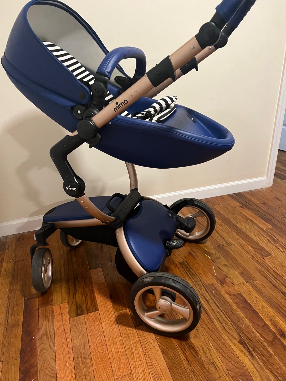 mima xari royal blue